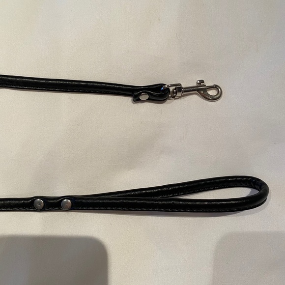 Dog Leash - Picture 1 of 5